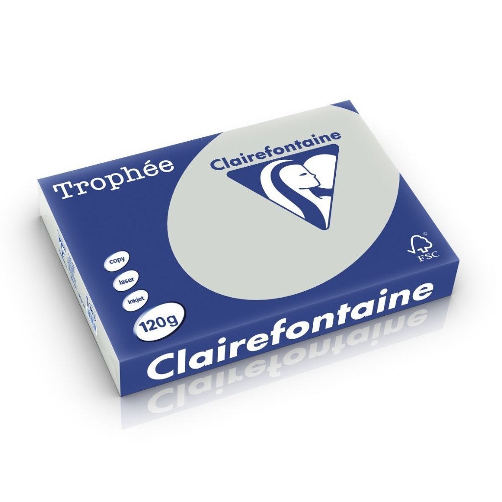 Papier Clairefontaine A4, 120 g, gris clair, 250 feuilles, Enlèvement ou Envoi, Neuf