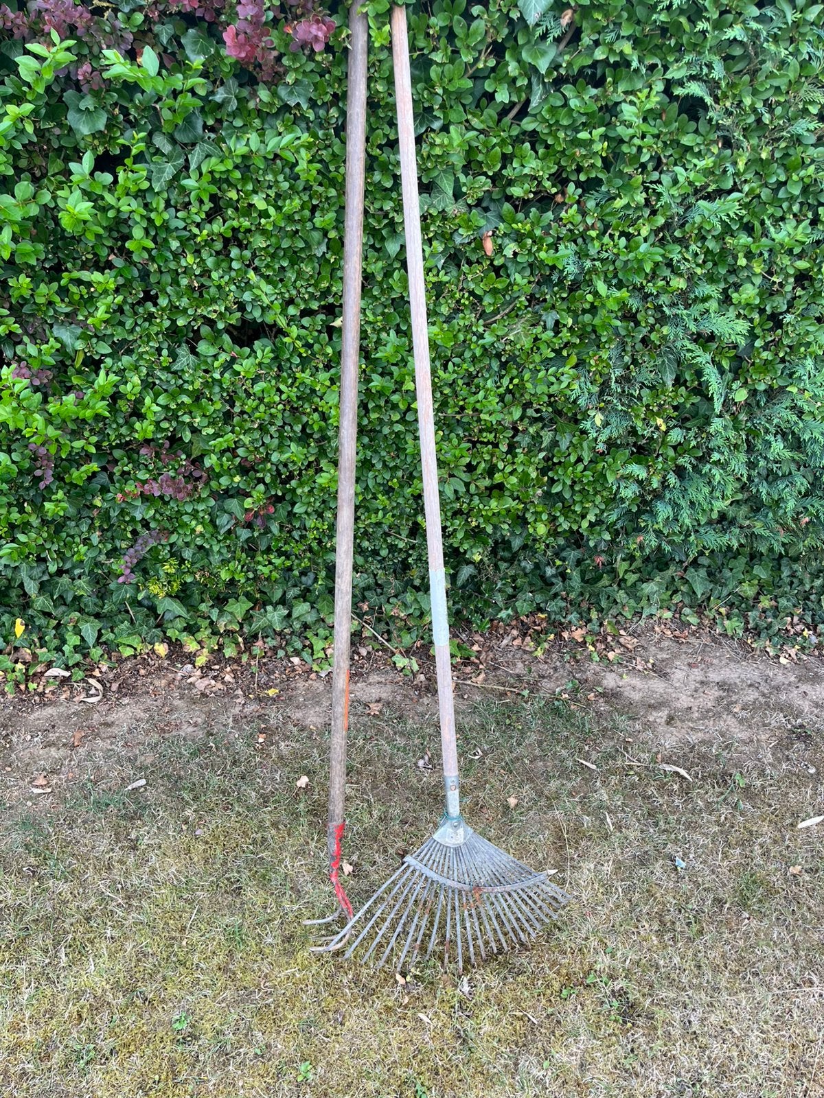 Ramasse feuille + grattoir, Jardin & Terrasse, Outils à main, Enlèvement, Comme neuf, Râteau