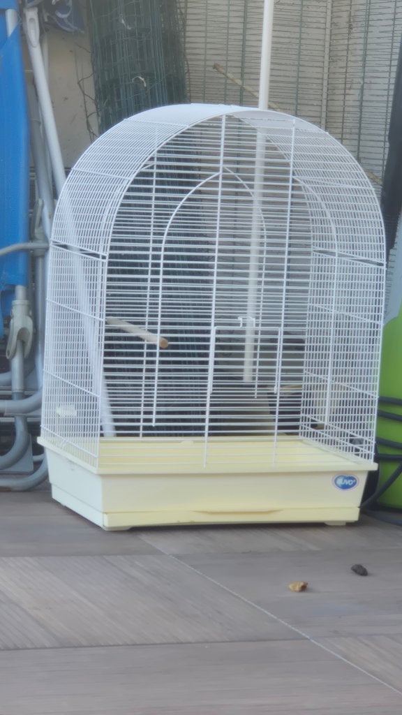 Cage canaris, Animaux & Accessoires, Enlèvement, Comme neuf, Cage à oiseaux