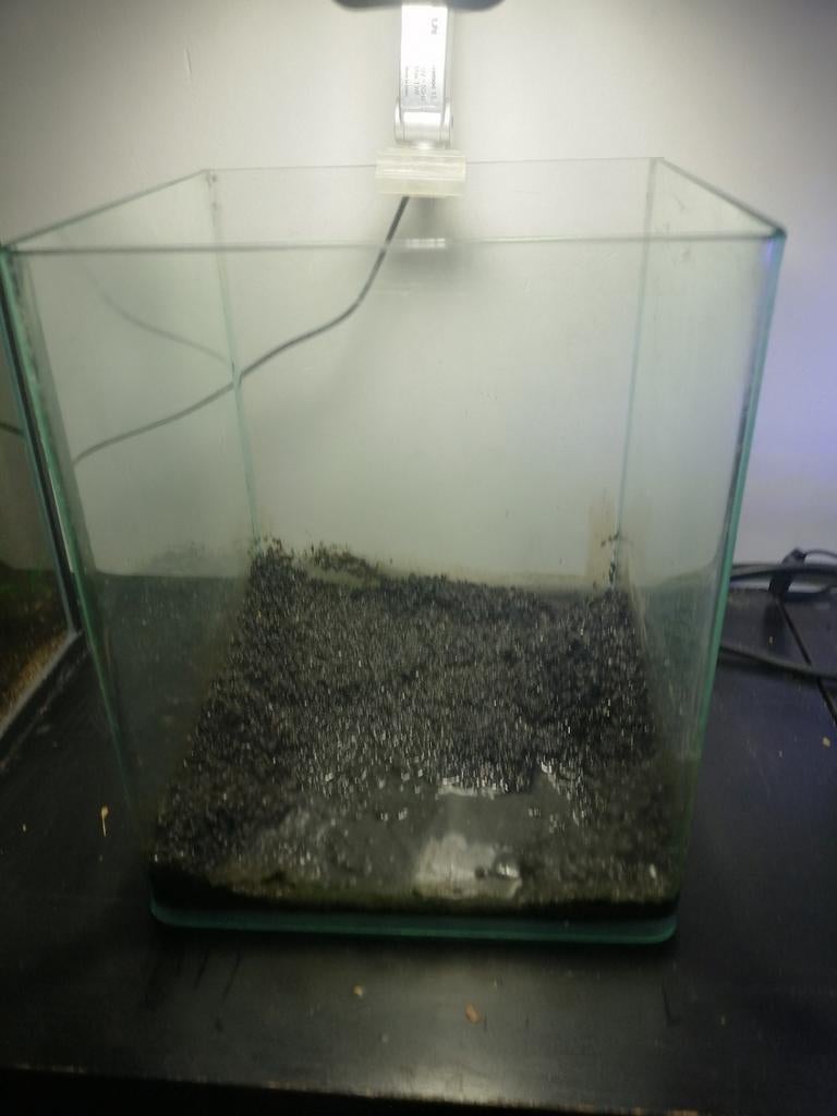 Aquarium 18 litres, Enlèvement