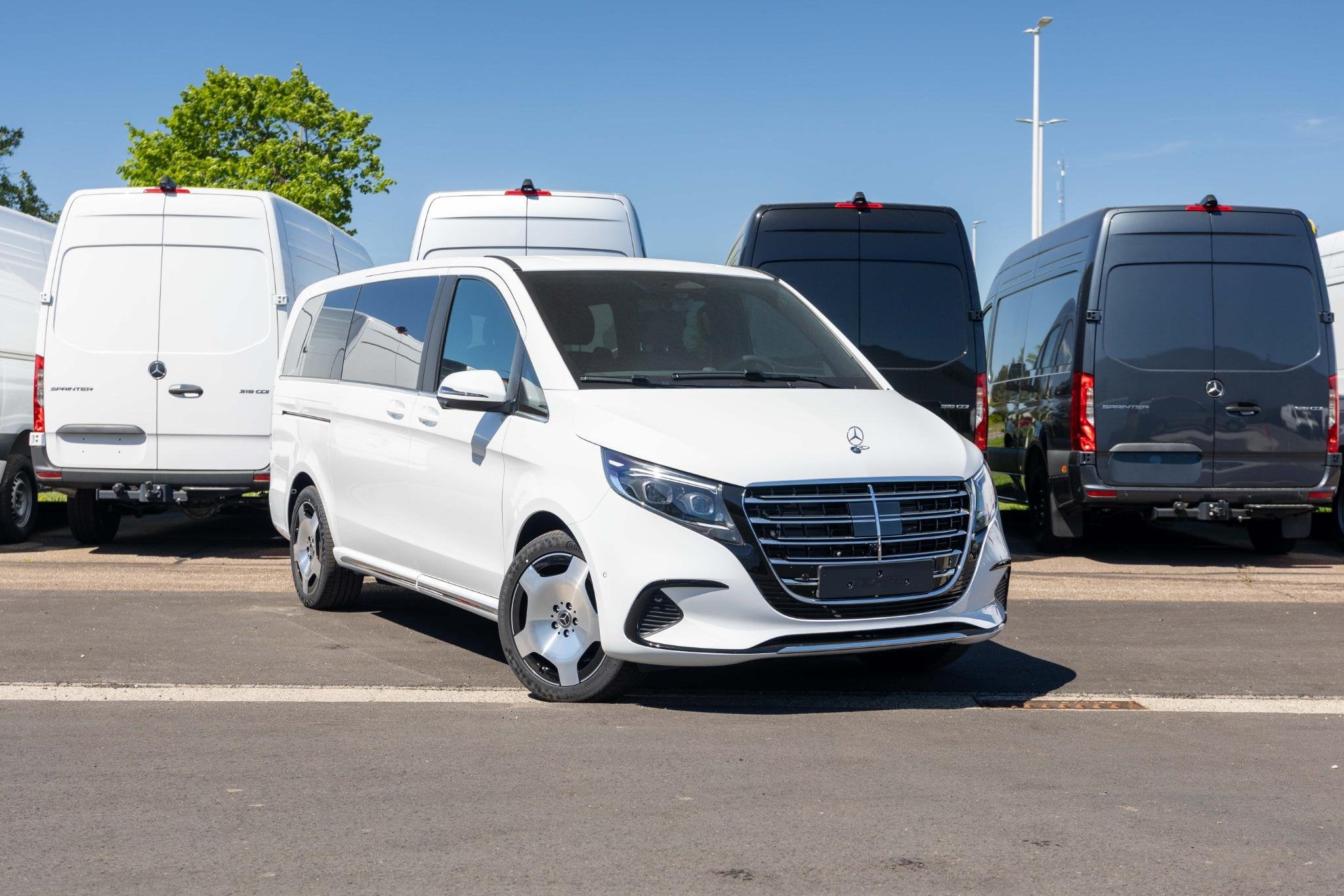 Mercedes-Benz V-Klasse V 300 d L2 9G-TRONIC Exclusive, Autos, Neuf, Entreprise, 2000 kg, https://public.car-pass.be/vhr/c0cd1b78-38a6-459b-b378-5550b19ca2e9