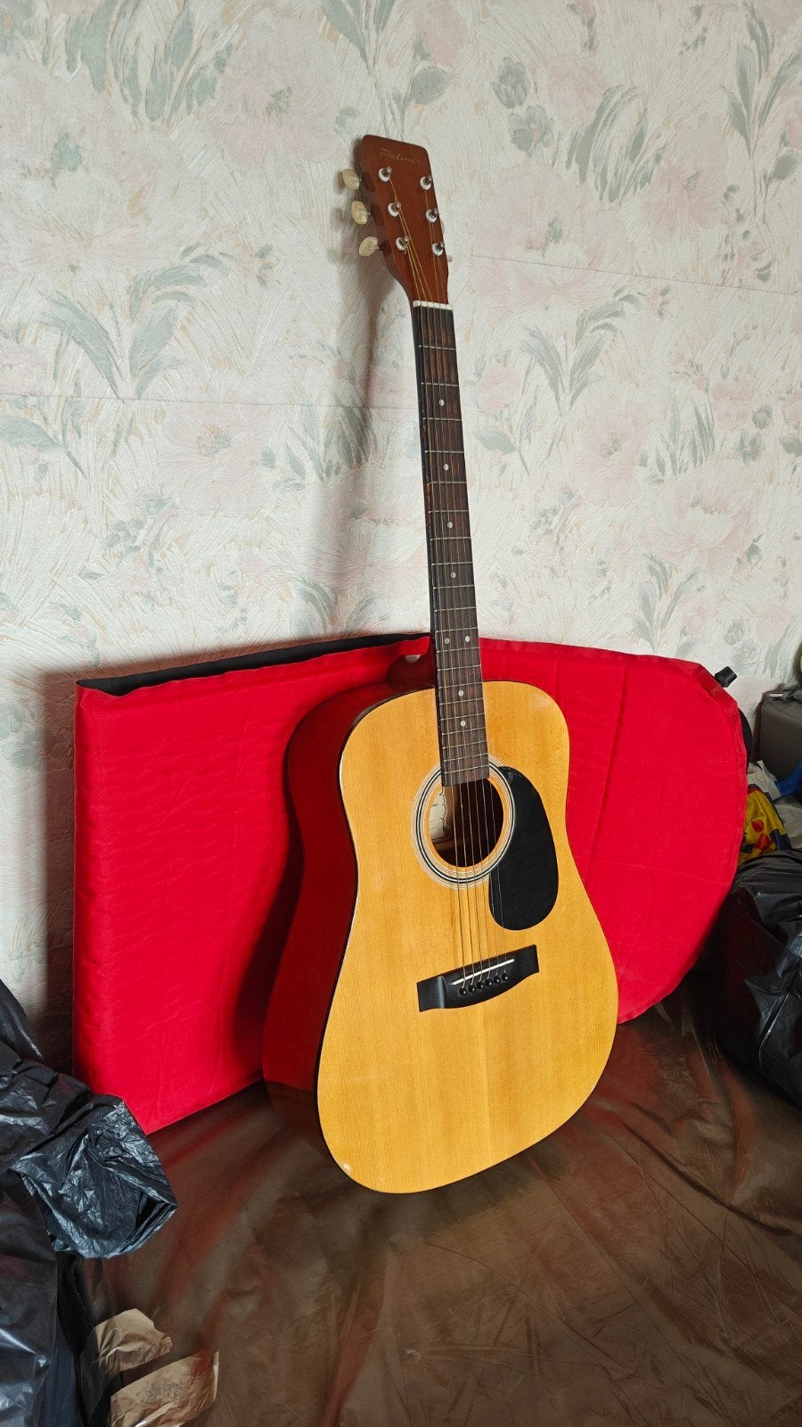 Guitare  palmer, Musique & Instruments