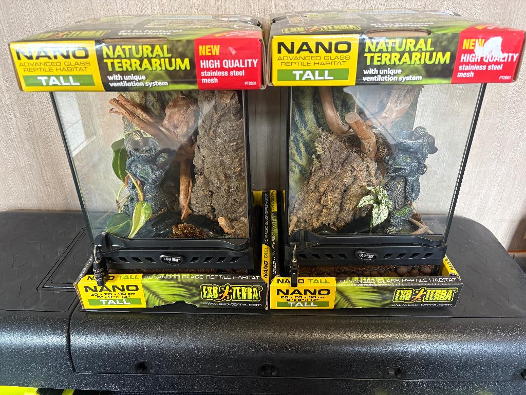 2x Exo Terra (20x20x30) NIEUW volledig bio-actief ingericht, Dieren en Toebehoren, Ophalen, Nieuw, Terrarium of Paludarium