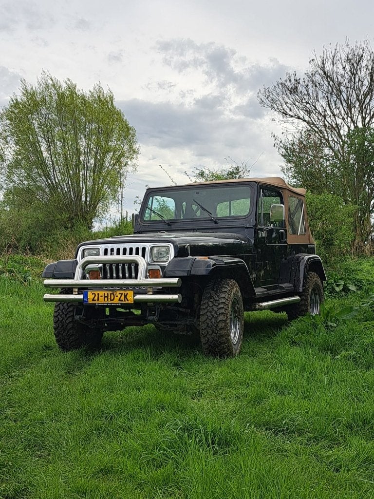 Jeep Wrangler YT 4.2 6 L, Autos, Jeep, Particulier, Wrangler, 4x4, Attache-remorque, Essence, SUV ou Tout-terrain, 3 portes, Automatique