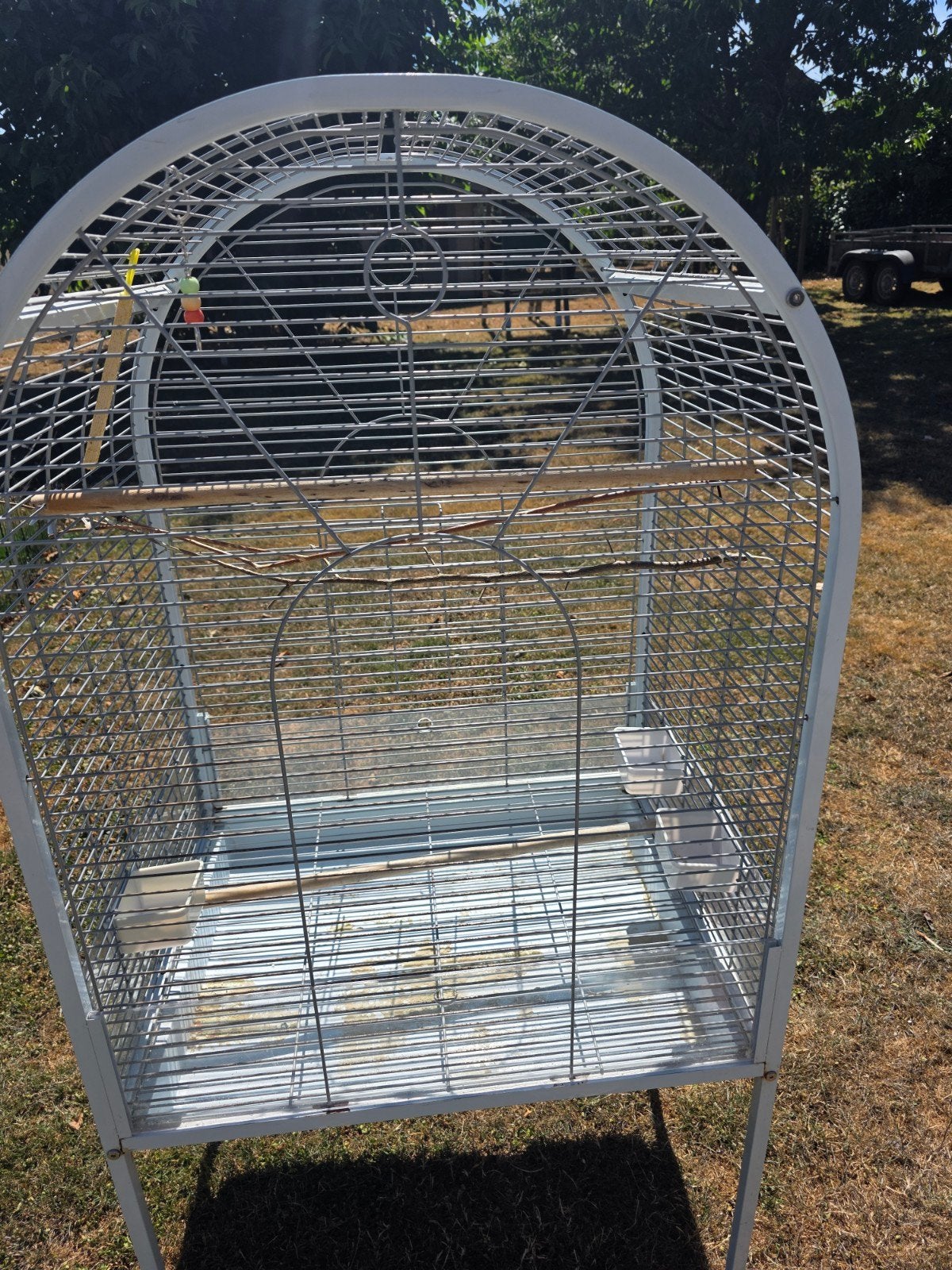 Cage perroquets ou grandes perruches, Enlèvement