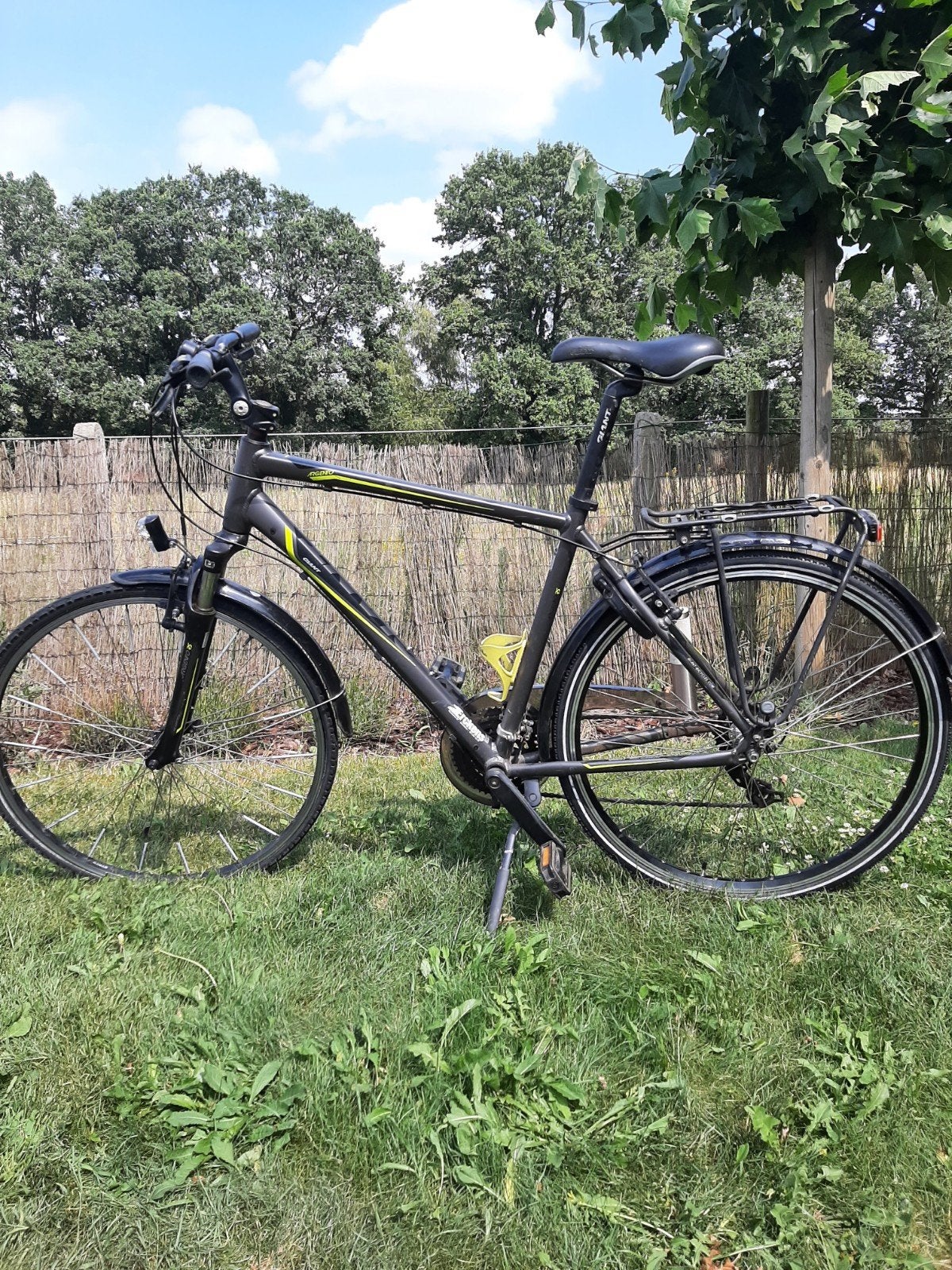 Hierenfiets giant, Ophalen, Gebruikt, Vering, 10 tot 15 versnellingen