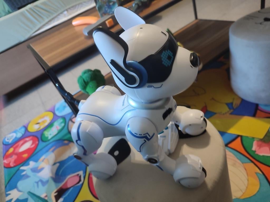Robothond, Ophalen
