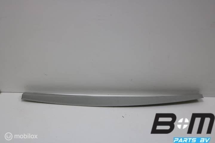 Hemel afsluitstrip VW Transporter T5 7H0867625G, Utilisé