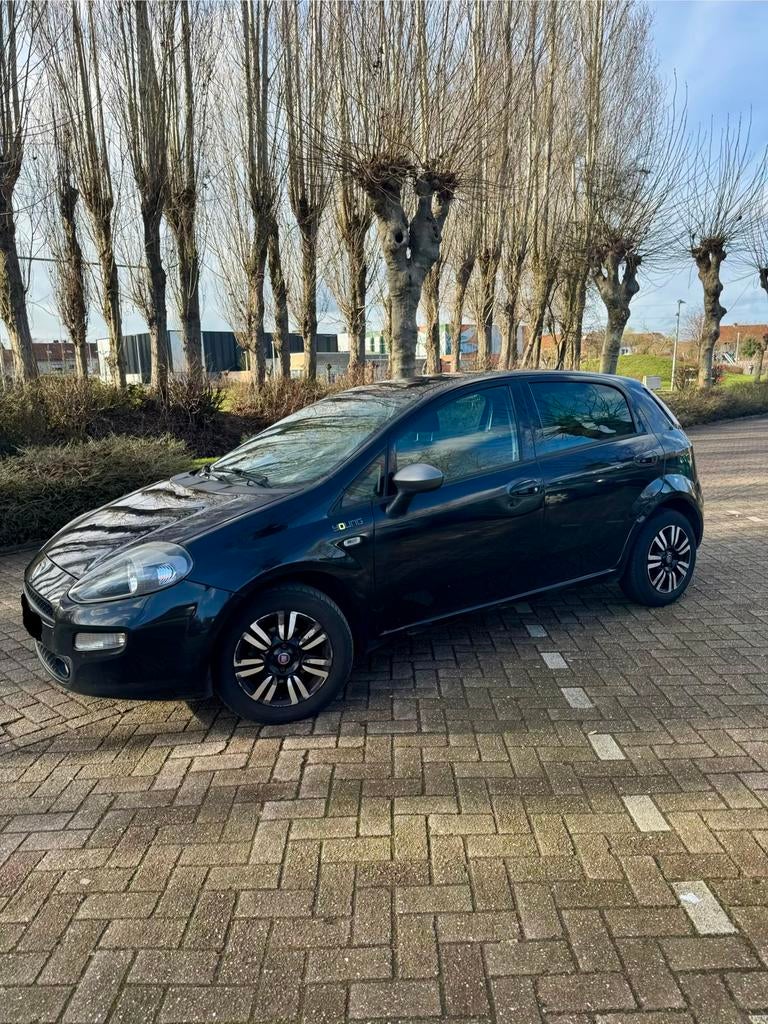 Fiat Punto 1.2 benzine 2014 123dkm!, Auto's, Handgeschakeld, Particulier, Punto EVO, Te koop