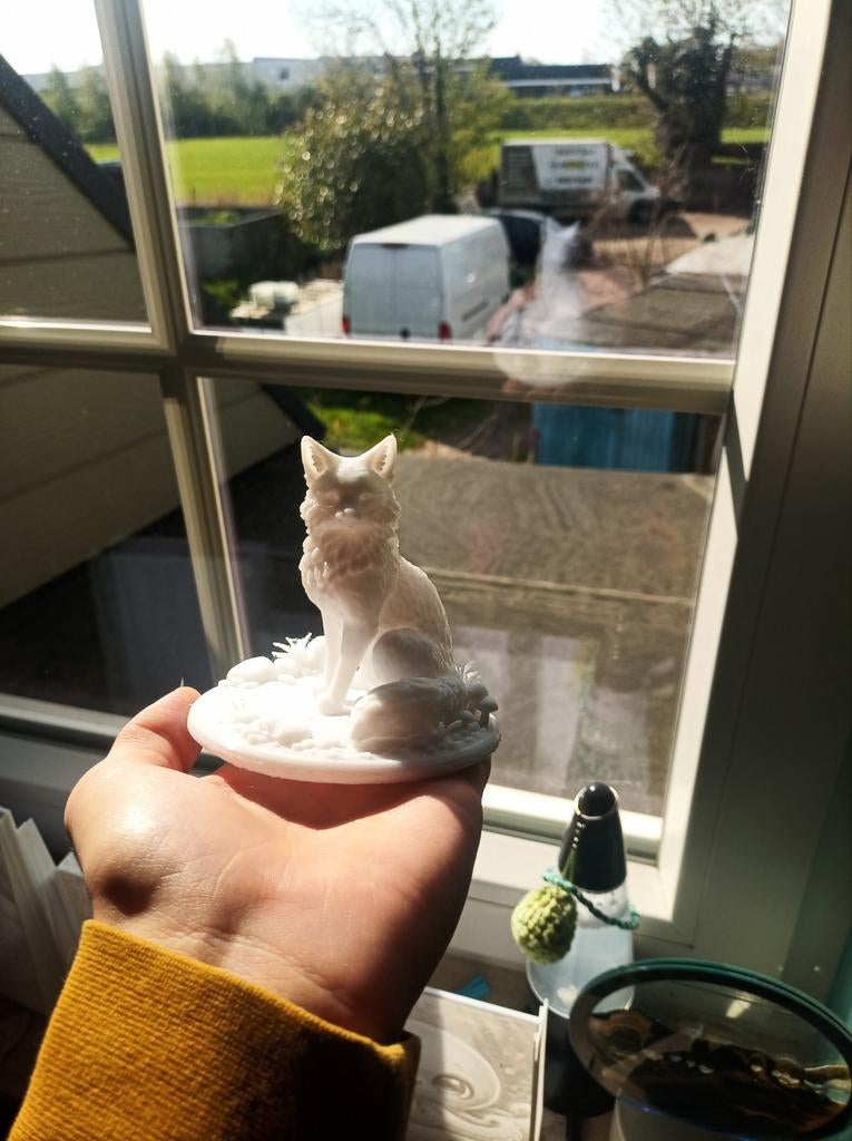 3d print Wolf, Enlèvement