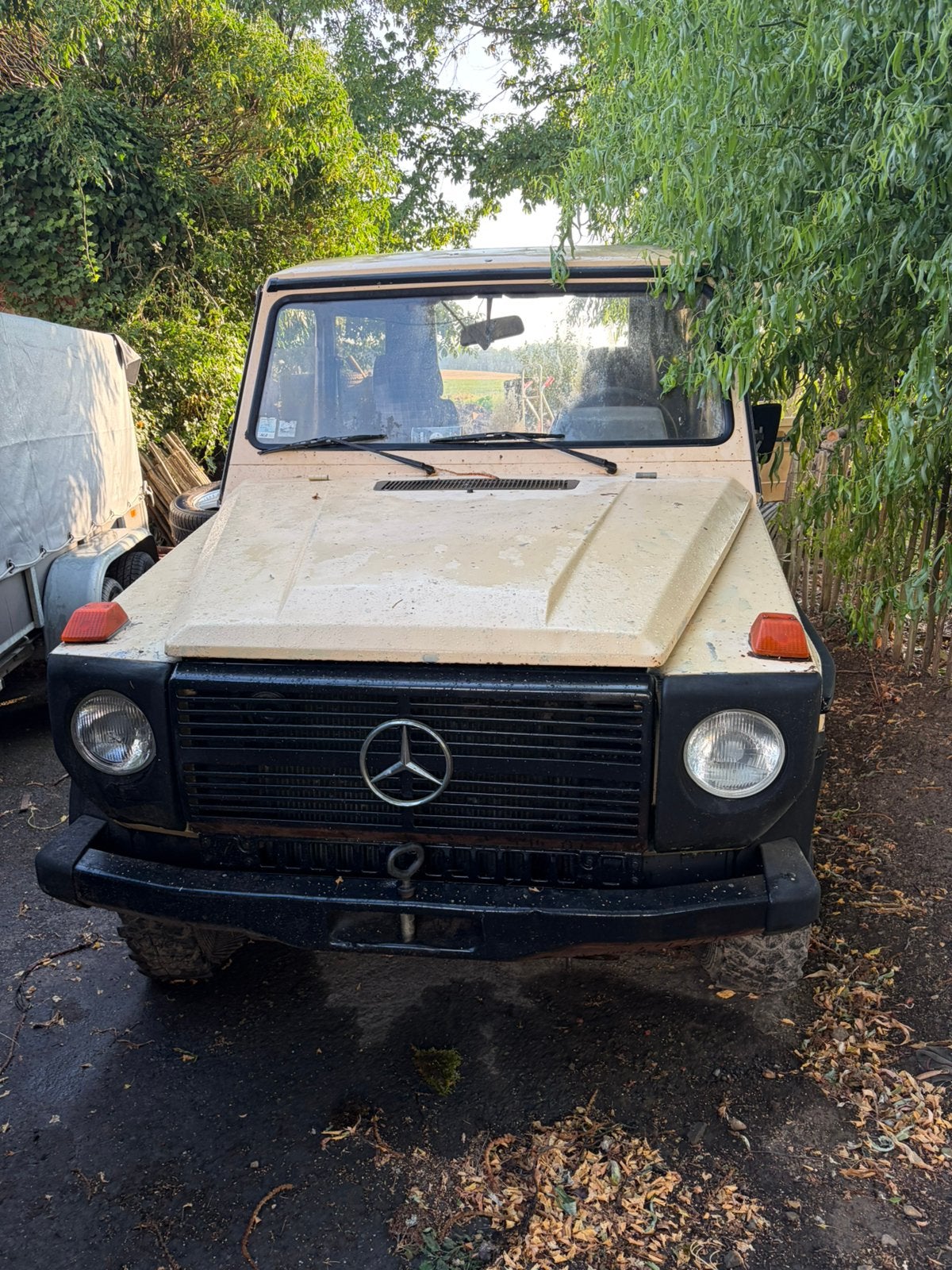 Mercedes G300 W460, Autos, Achat, Diesel, Particulier, Classe G