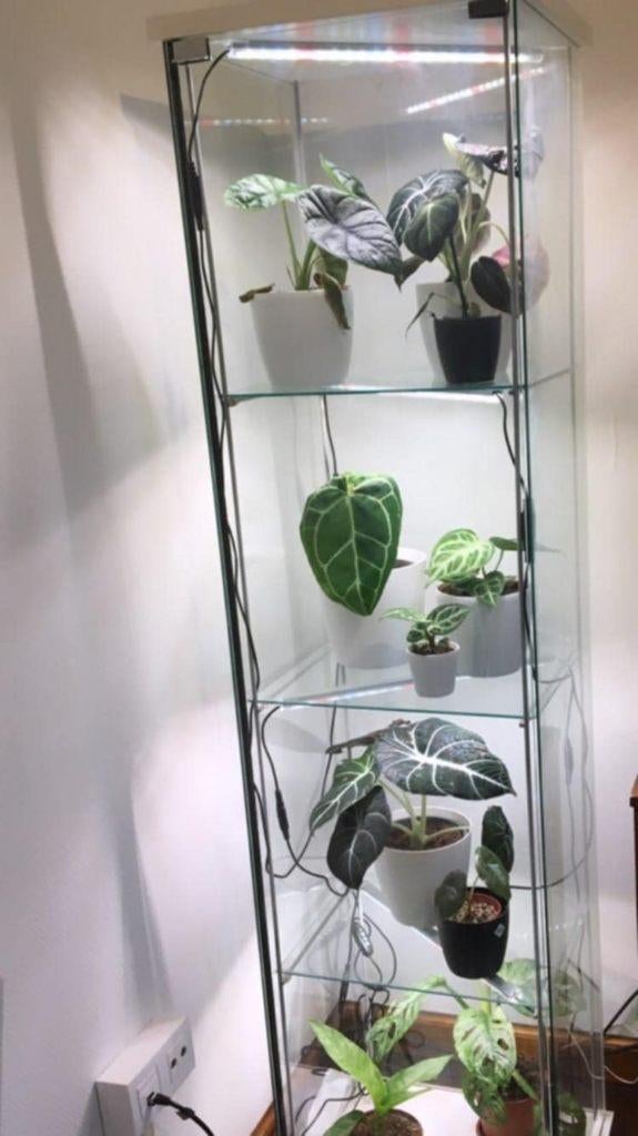Detolf vitrinekast met ingebouwde groeilampen, Jardin & Terrasse, Produits de culture, Enlèvement