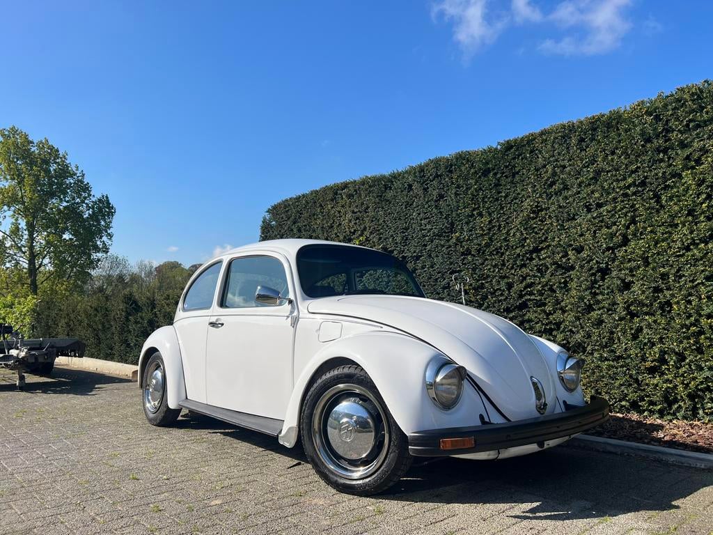 Volkswagen Kever, Auto's, Volkswagen, Beetle (Kever), Bedrijf, Te koop, Benzine