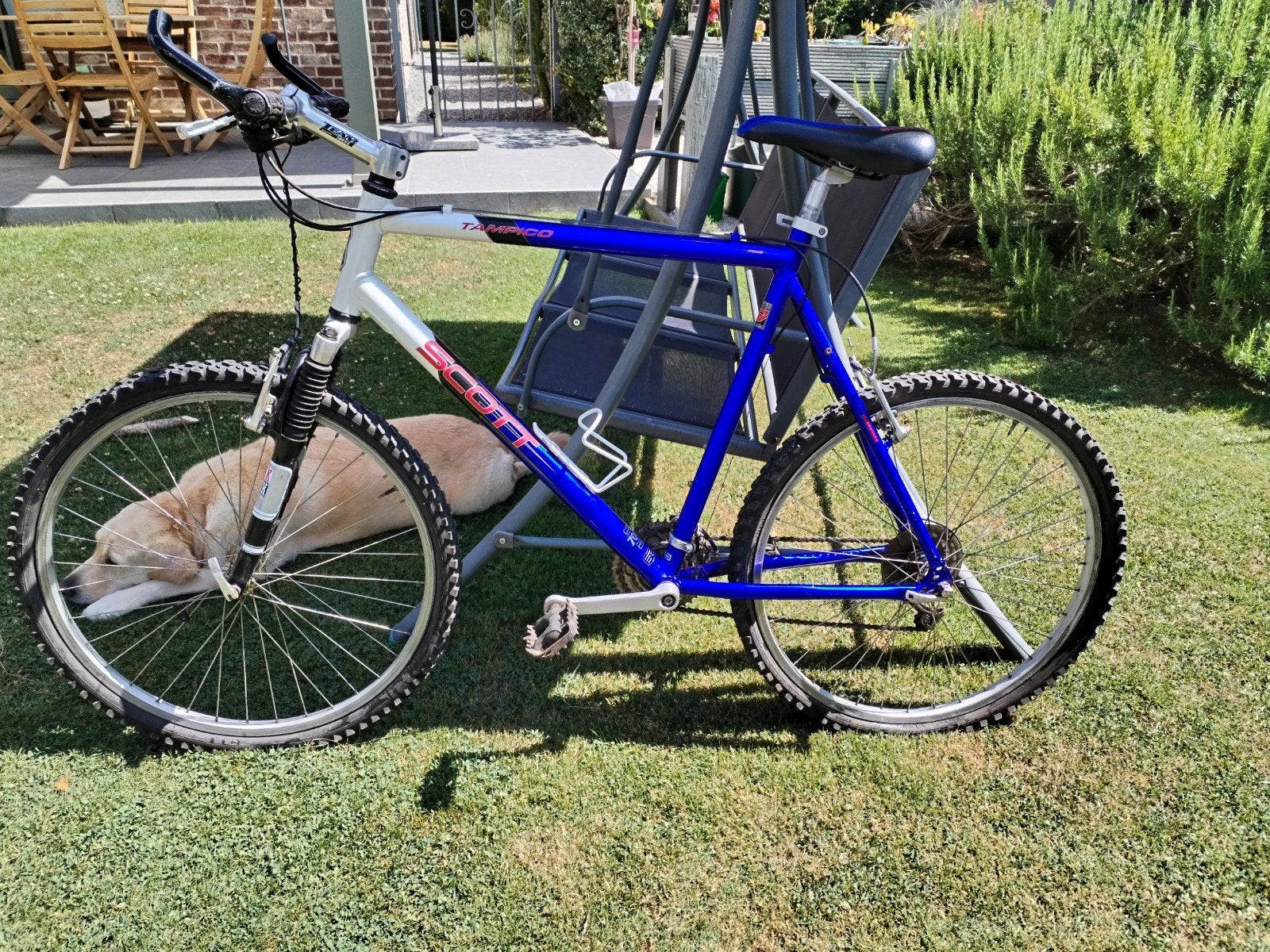 vtt scott tampico, Vélos & Vélomoteurs, Vélos | Hommes | Vélos de sport & Vélo de randonnée, Frein sur jante, 57 à 61 cm, Enlèvement