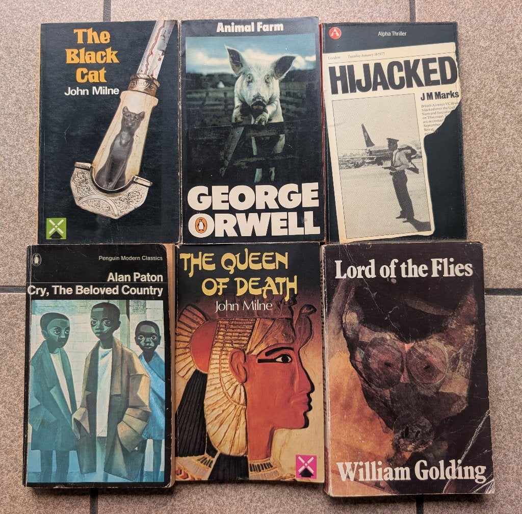 Pakket van 6 Engelse boeken / klassiekers, Ophalen of Verzenden, Gelezen