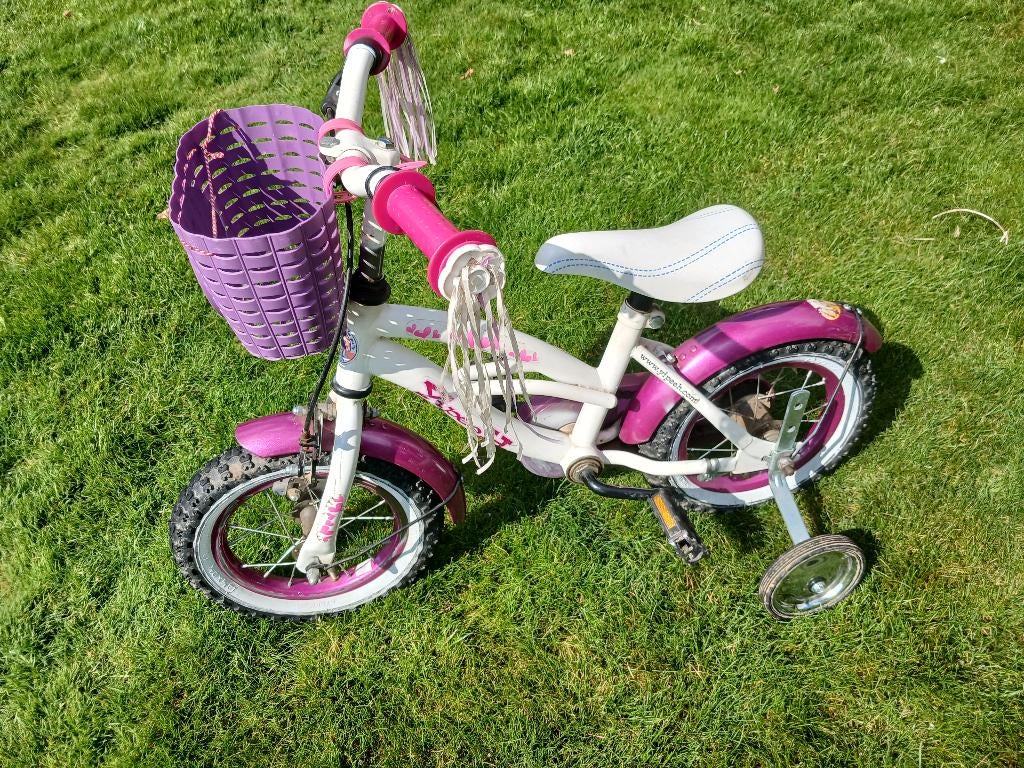 Kinderfietsje met steunwieltjes, Ophalen, Gebruikt, Minder dan 16 inch, Zijwieltjes
