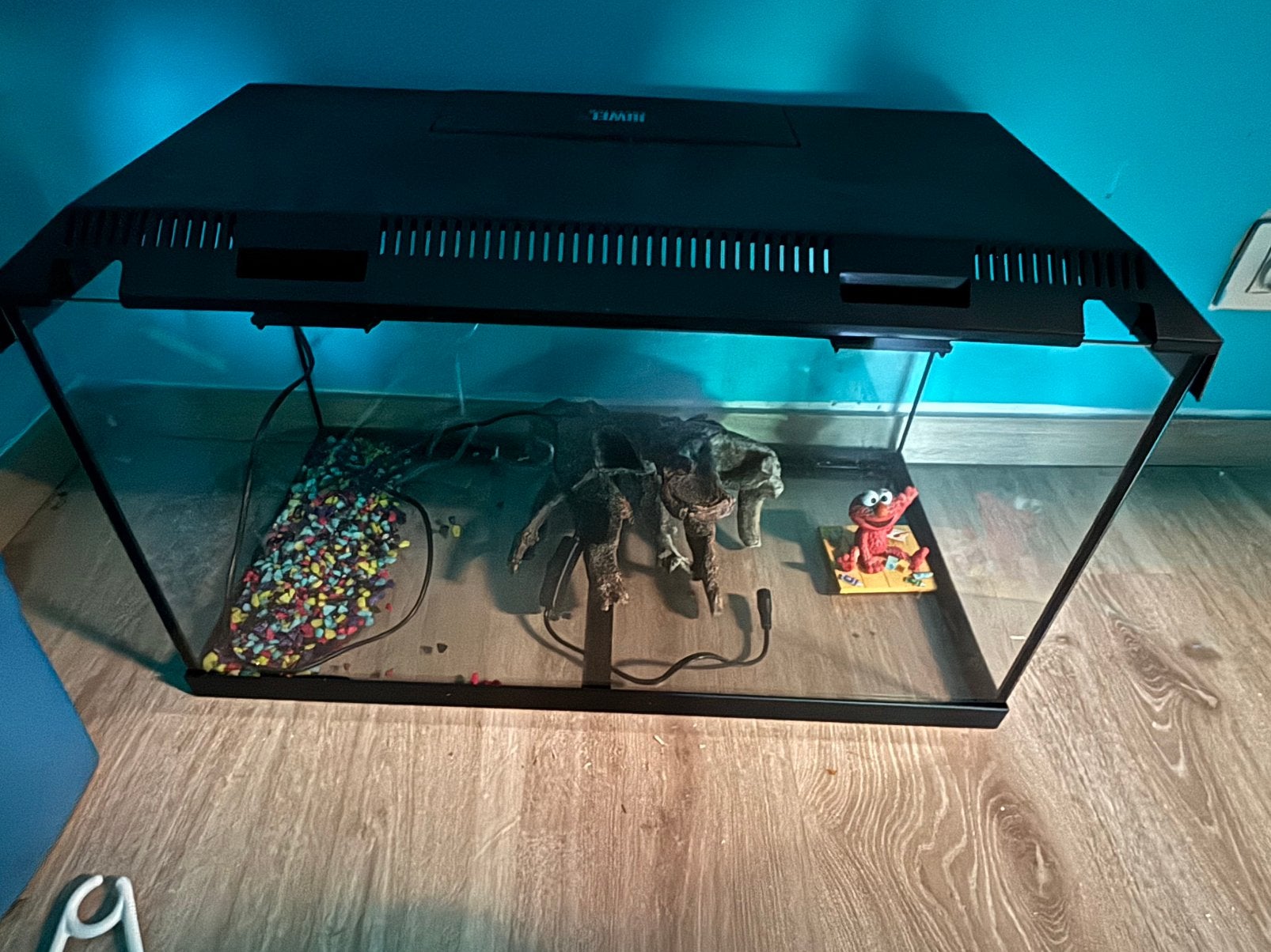 Juwel aquarium met lamp, Ophalen, Zo goed als nieuw, Juwel