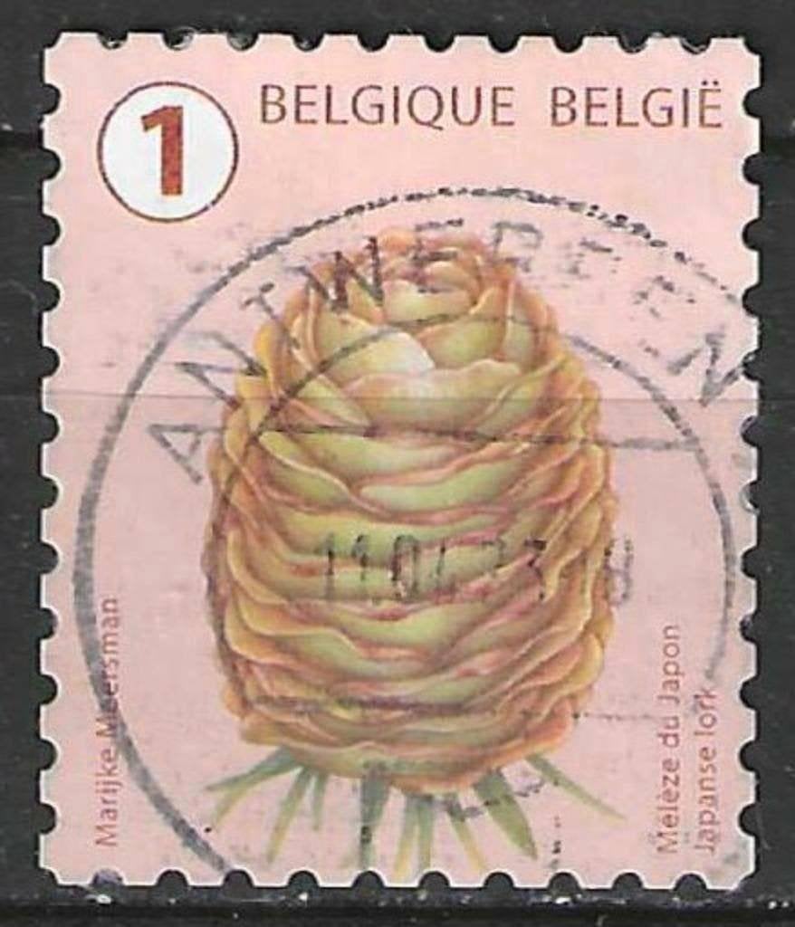 Belgie 2021 - Yvert 5017 /OBP 5021 - Boomvruchten (ST), Verzenden, Gestempeld, Gestempeld