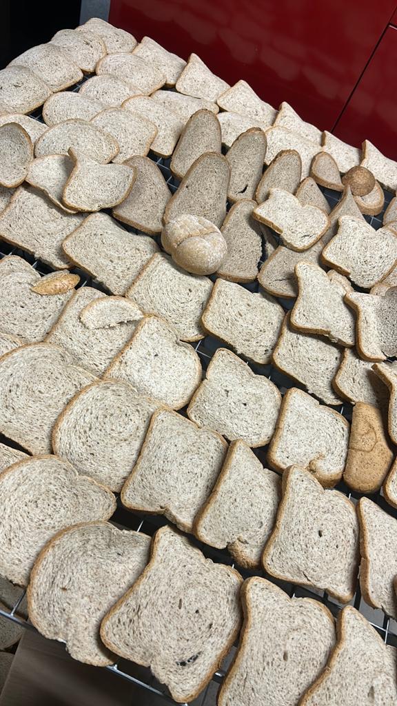 Gedroogd brood voor dieren, Dieren en Toebehoren, Ophalen of Verzenden, Overige soorten