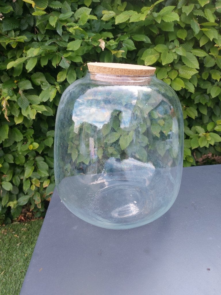 Planten terrarium vaas, Ophalen, Zo goed als nieuw, Glas, Minder dan 50 cm