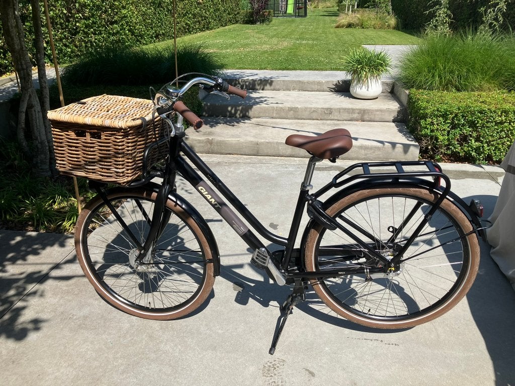 giant triple x, Fietsen en Brommers, Fietsen | Dames | Damesfietsen, Ophalen, 47 tot 50 cm, Versnellingen, Giant
