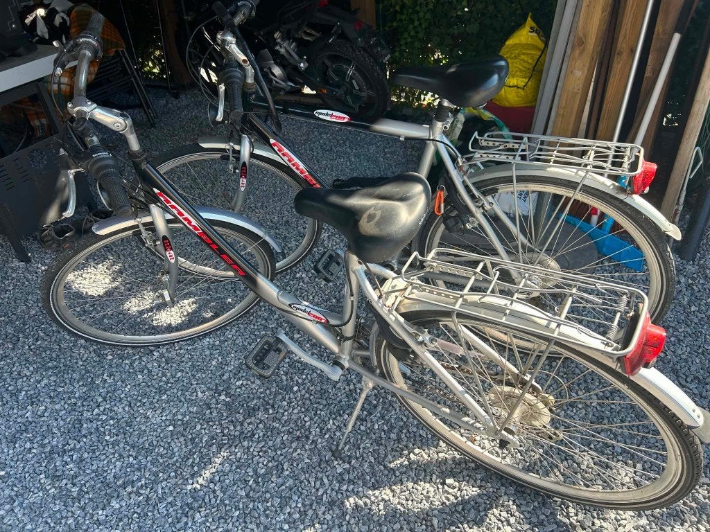 fietsen rambler 75euro stuk, Enlèvement, Utilisé