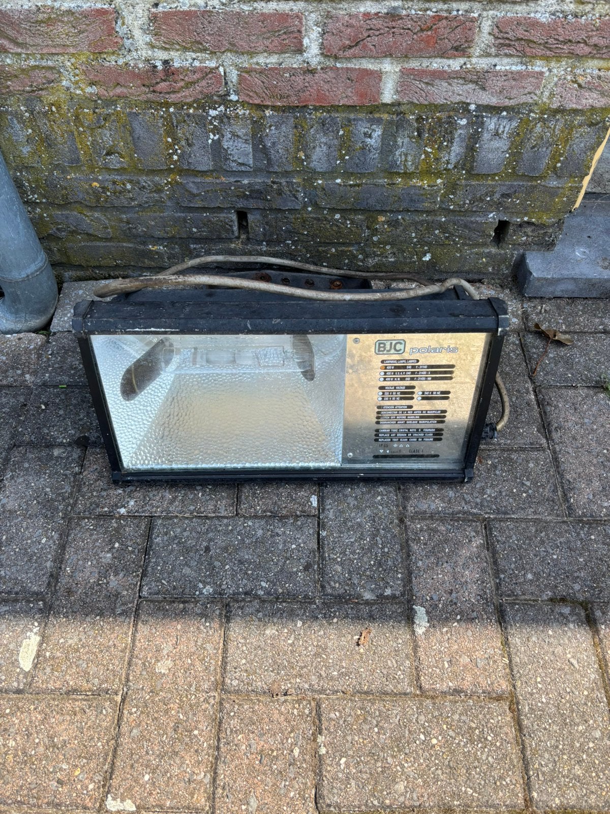 Lamp, Weidegang