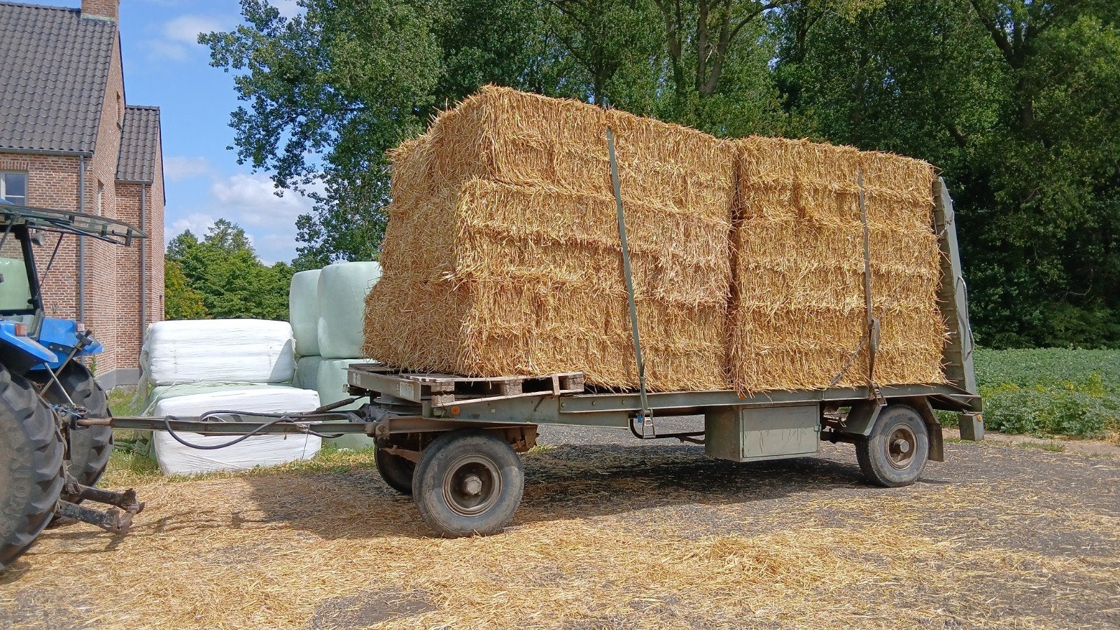 Hooi en stro te koop, Dieren en Toebehoren, Ophalen