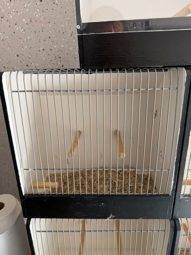 Cage de transport pour oiseaux, Enlèvement, Comme neuf