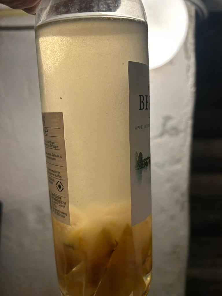 Azijn aaltjes in grote fles te koop, Ophalen, Nieuw, Overige typen