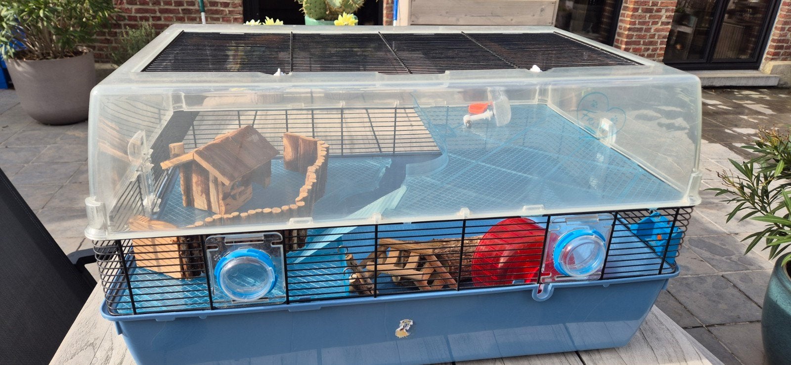 Grote hamsterkooi voor dwerghamster, Ophalen