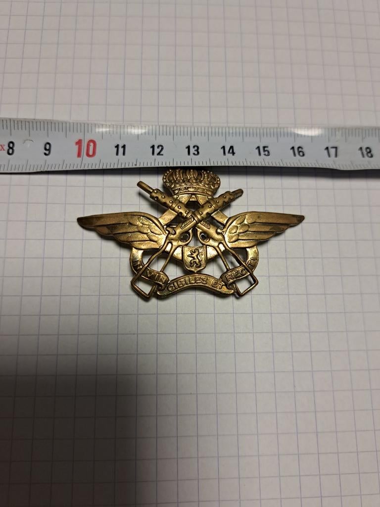 Insigne béret UDA armée belge, Verzamelen, Ophalen