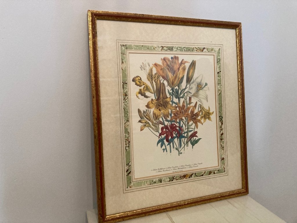 Ingelijste botanische print uit Floral Studies by Mrs Loudon, Antiek en Kunst, Bloemen, Achter glas, Ophalen of Verzenden, Klassiek