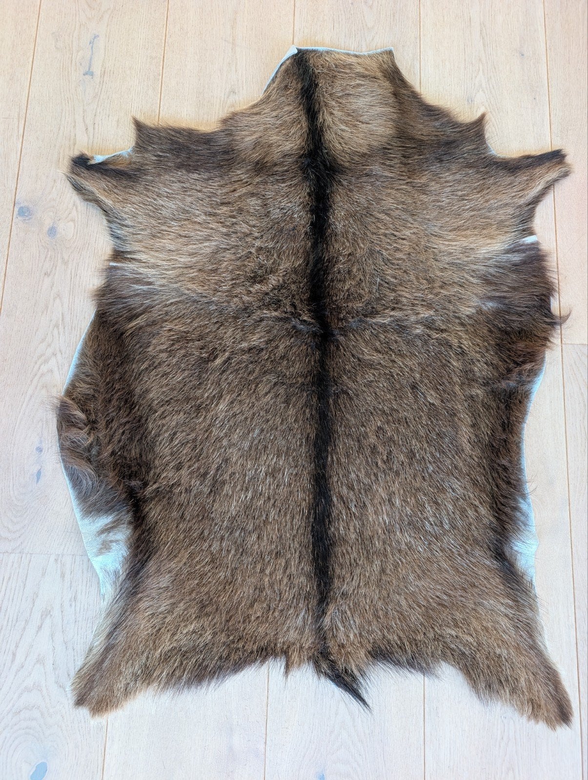 dierenvacht / gemsenhuid, Ophalen