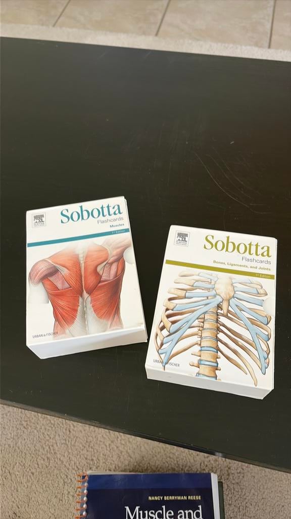 Sobotta flashcards (Elsevier), Livres, Santé, Diététique & Alimentation, Enlèvement, Utilisé, Santé et Condition physique