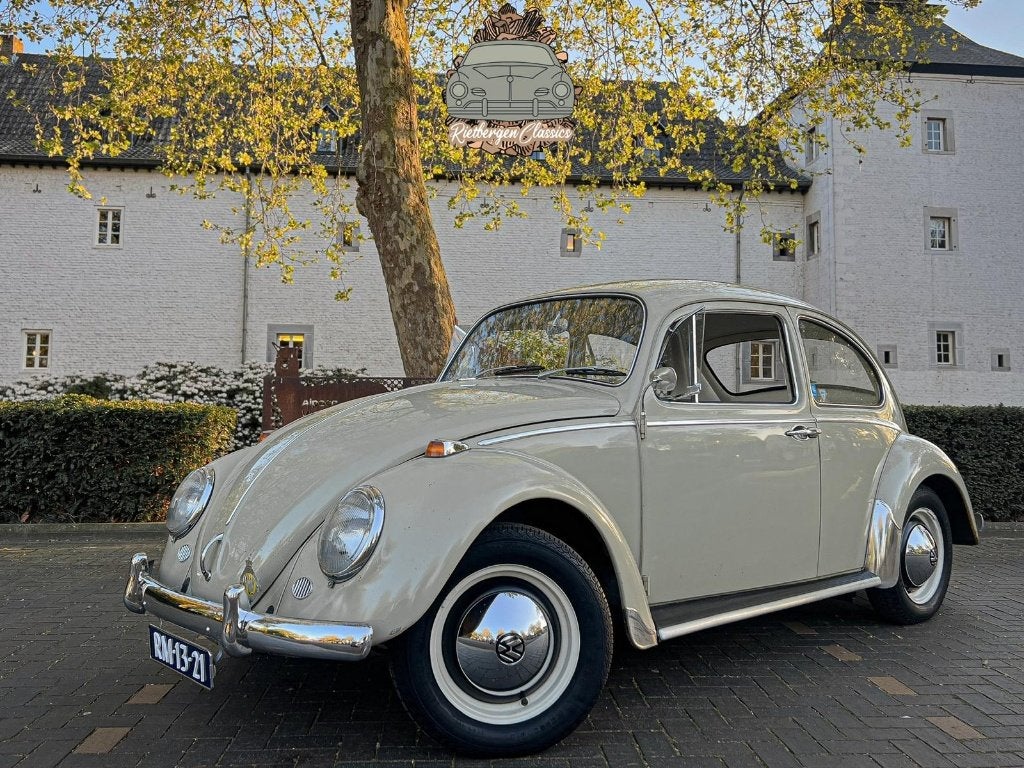 Volkswagen Beetle 1965 L572 Beige Panama €10 995, -, Enlèvement ou Envoi, Utilisé