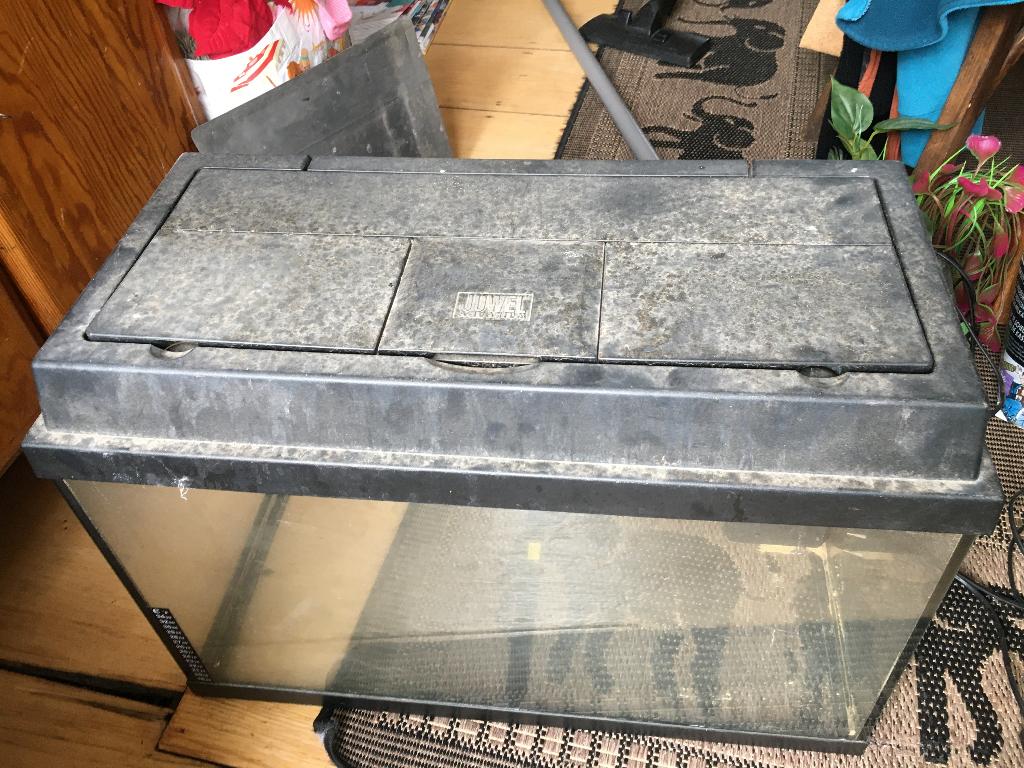 Aquariums + Accessoires, Plantes incluses, Aquarium vide, Enlèvement, Utilisé
