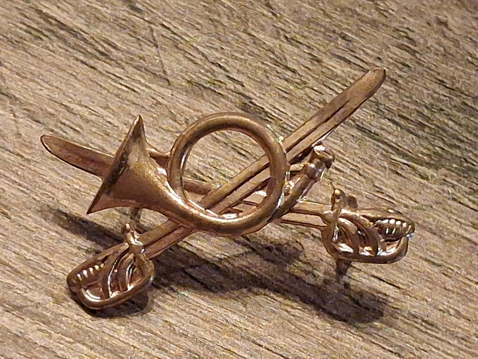 chasseurs d'insignes à cheval, Envoi