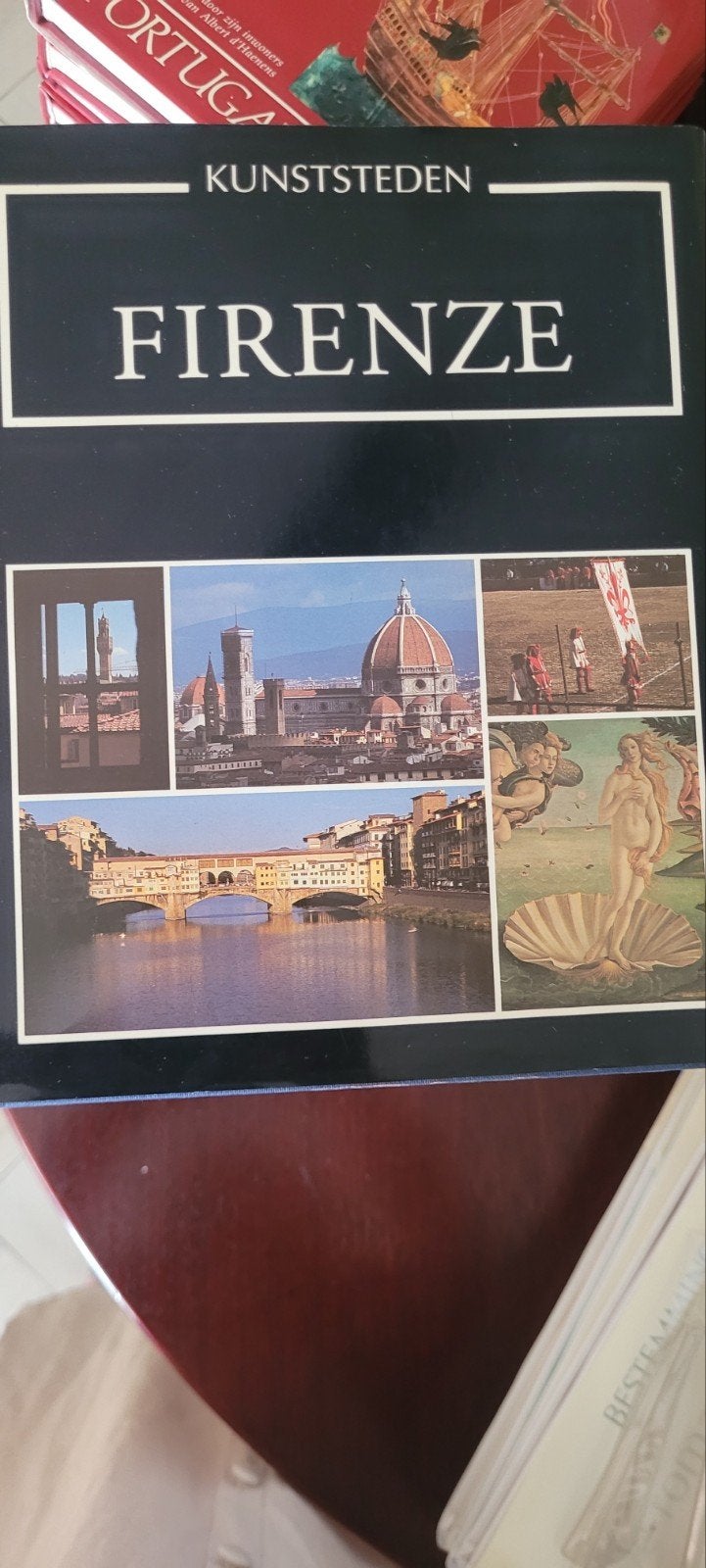 reeks boeken over kunststeden, Ophalen, Zo goed als nieuw, Overige onderwerpen, ARTIS HISTORIA