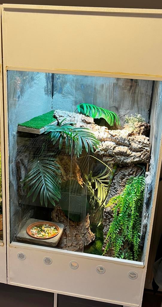 Groot terrarium 120x60x60, Dieren en Toebehoren, Ophalen, Zo goed als nieuw, Terrarium of Paludarium