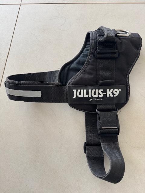 Harnais Julius K9, Dieren en Toebehoren, Ophalen, Zo goed als nieuw, Hondenriem