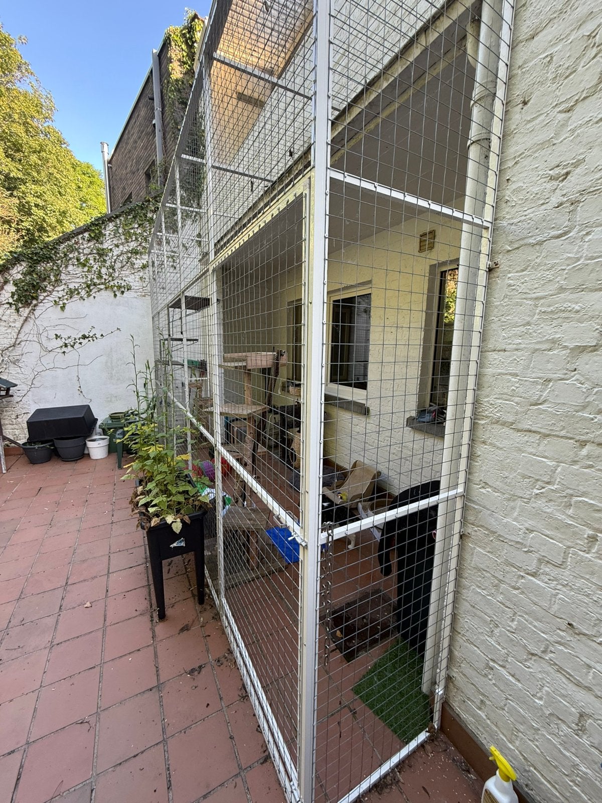 Kattenren, Animaux & Accessoires, Accessoires pour chats, Comme neuf, Enlèvement