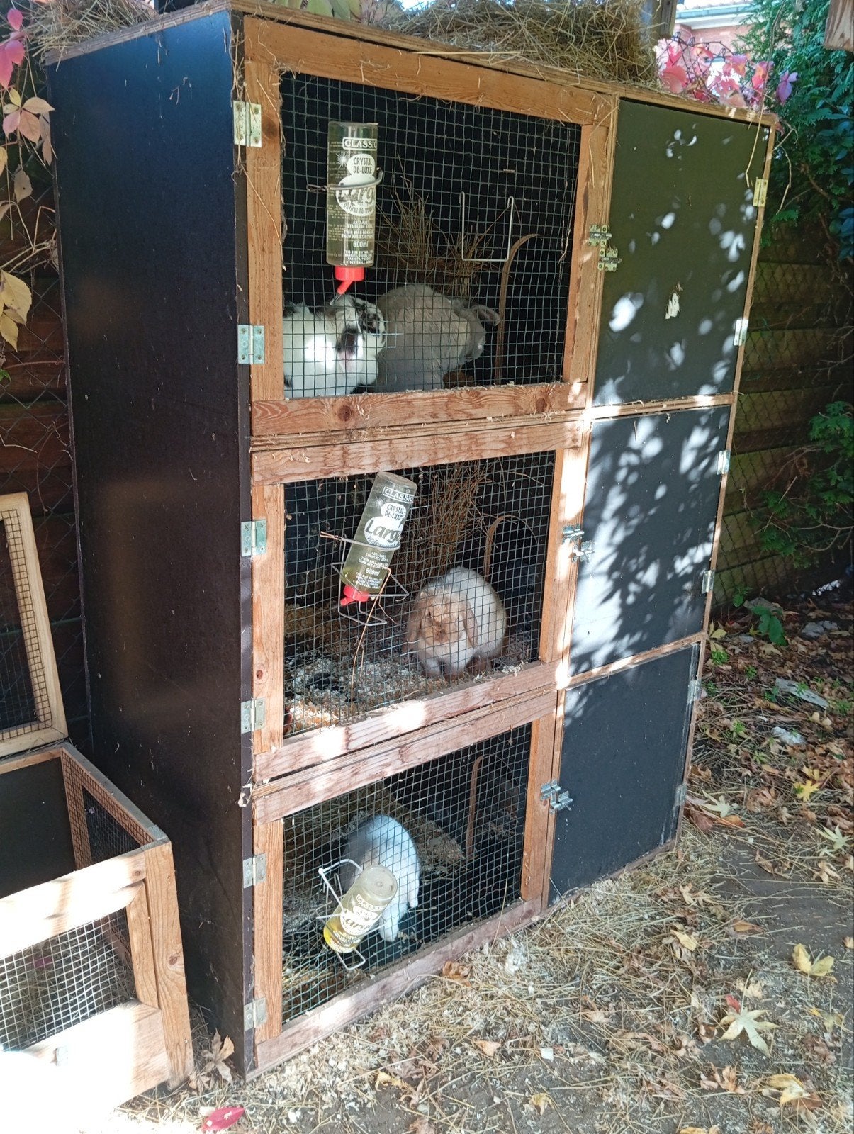 flat van 3 konijnenhokken, Dieren en Toebehoren, Ophalen of Verzenden