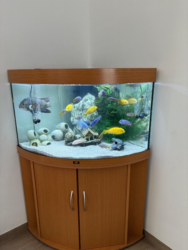 Juwel Trigon 190 liter aquarium – bruin – €200, Ophalen, Gebruikt, Leeg aquarium, Verwarming