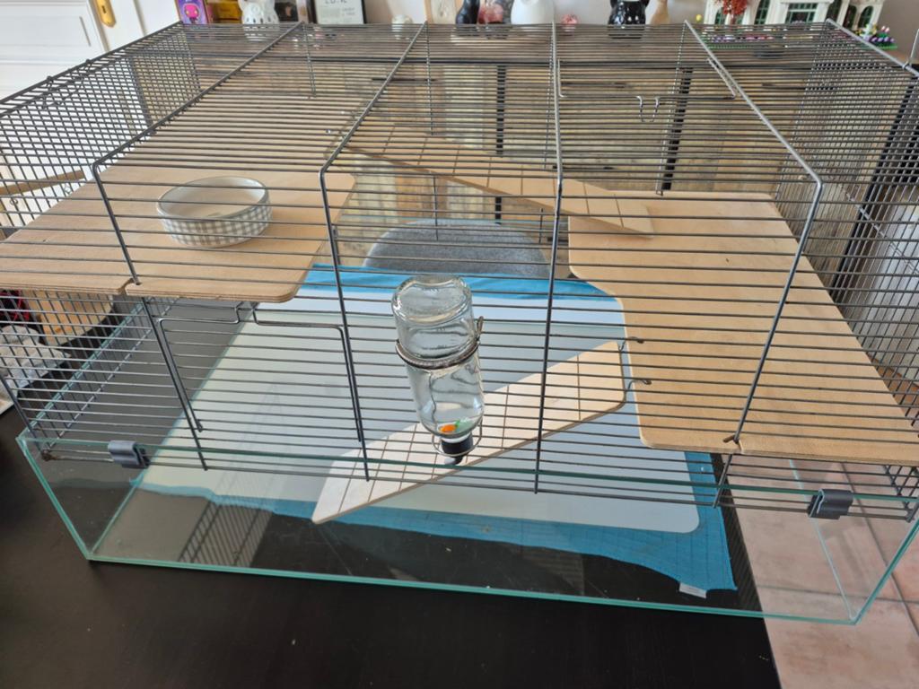 Hamsterkooi, Dieren en Toebehoren, Ophalen, Hok