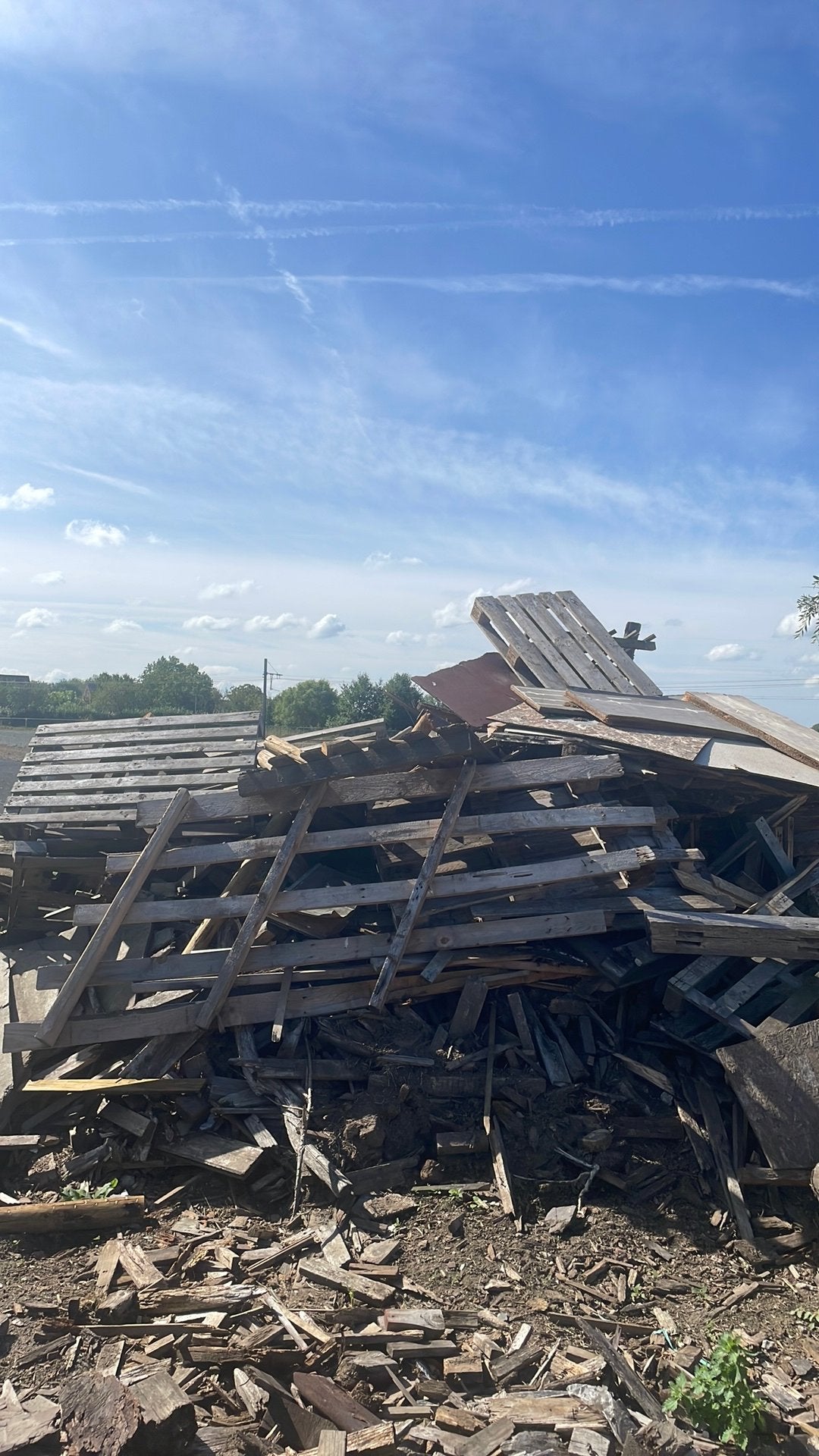 Gratis op te halen, Tuin en Terras, 6 m³ of meer, Ophalen, Overige houtsoorten, Stammen