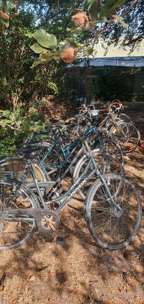 fietsen, Fietsen en Brommers, Ophalen, Gebruikt