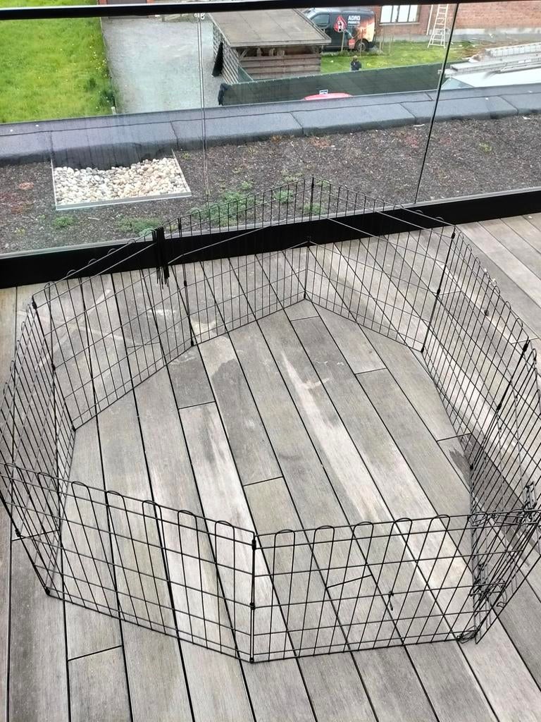Puppy ren, Dieren en Toebehoren, Ophalen, Ren