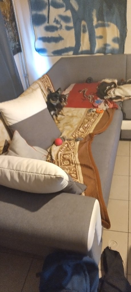 Zetel te koop, Huis en Inrichting, Ophalen, Gebruikt, Hoekbank, 300 cm of meer
