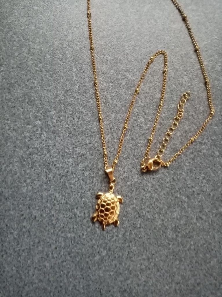 nieuw goudkleurig ketting (40cm) + kettinghanger schildpad, Met hanger, Overige materialen, Nieuw, Ophalen of Verzenden